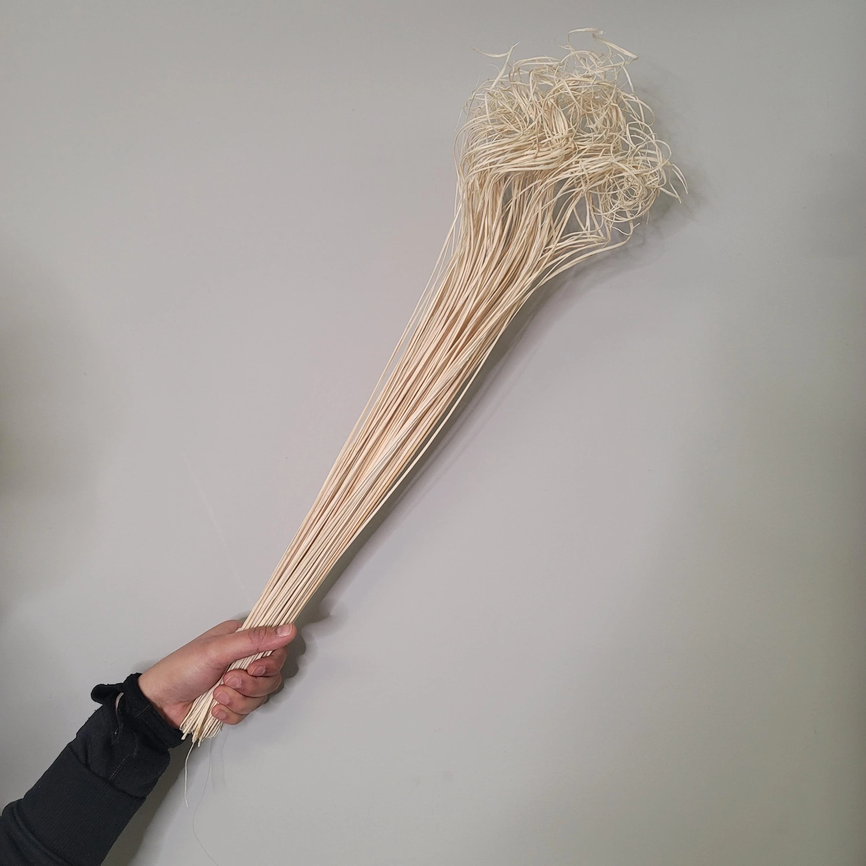 25" White Curly Twigs/Branches/Centerpiece decor/ Winter wonderland/Decoration Branches/Gold Branches/Glitter Branches/