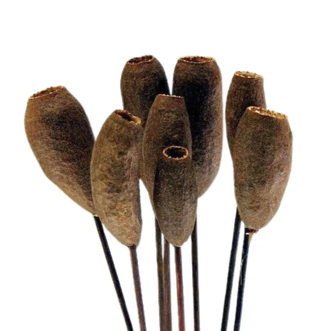 SERU FINO Pods on Sticks/Curly Twigs/Branches/Centerpiece decor/ Decoration Branches/Gold Branches/Glitter Branches/Silver Branches