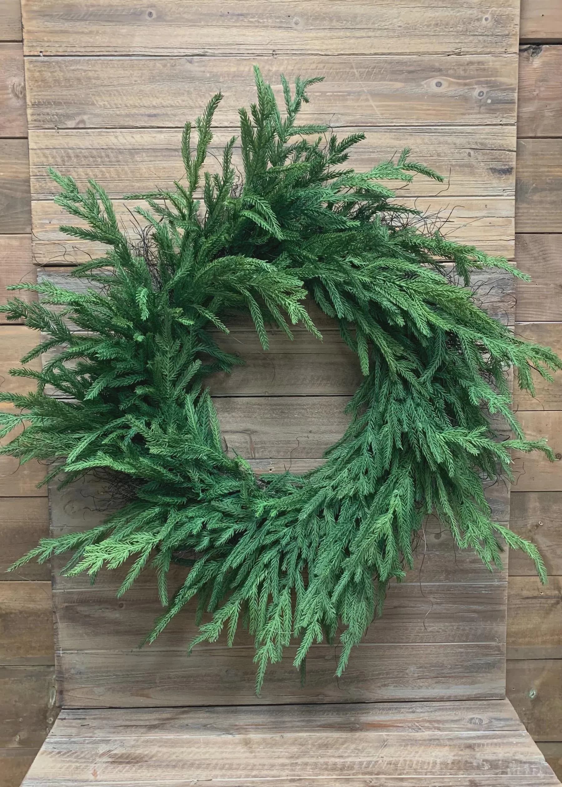 24" Fresh Touch Norfolk Wreath On Natural Frame/Green Artificial/Green Wreath/Natural Looking Wreath/Outdoor/Green Outdoor Wreath/Home