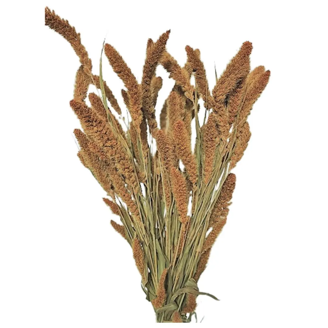 24" Orange Setaria/Dried Floral/Branches/Centerpiece decor/ Decoration Branches/Gold Branches/Glitter Branches/Silver Branches
