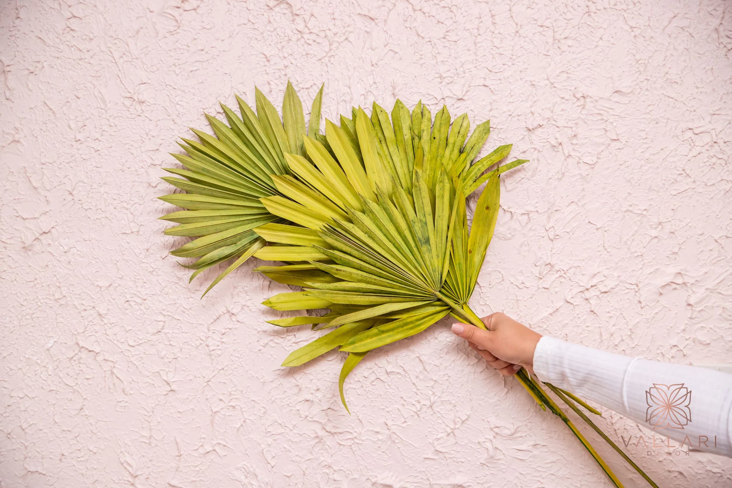 1-6pc - 10-16" Dried Green Sun Palm/Gold/Silver/ Home Decor/Vase Decor/Centerpiec Wedding Decor/Flowers/Silk Flowers/Flower Bouquet