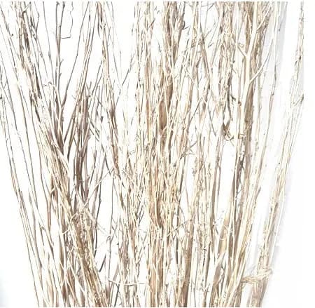 Champagne Washed Yanagi Sticks/Home Decor/Faux Flowers/Silk Flowers/Spring Wedding/Summer Wedding/Rustic/Branches/Vase Filler/Faux Decor