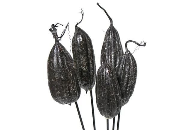 4-8" Black Sparkle Jhinga Pods/Cones/Pine Cones On Sticks/Rustic Decor Idea/Rustic Bowl Filler/Home Decor/Rustic Table Decor/Vase Filler