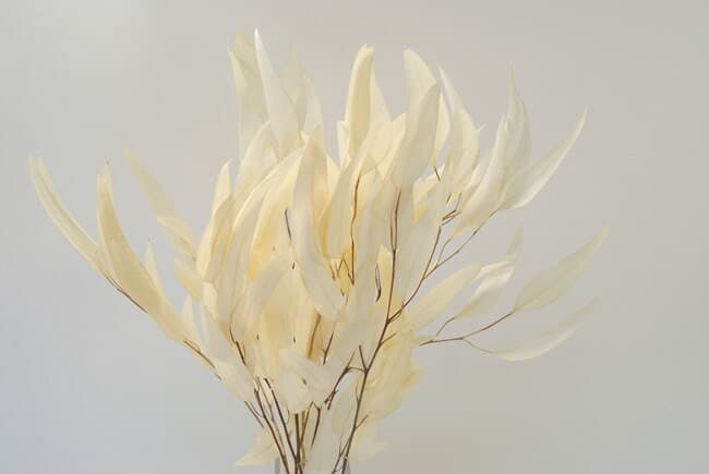 Bleached Eucalyptus Willow/Sprays/Faux Spray/Holiday Decor/Fall Decor/Table Decor/Home Decor/Holiday Decor/Indoor Decor/Bleached Eucalyptus
