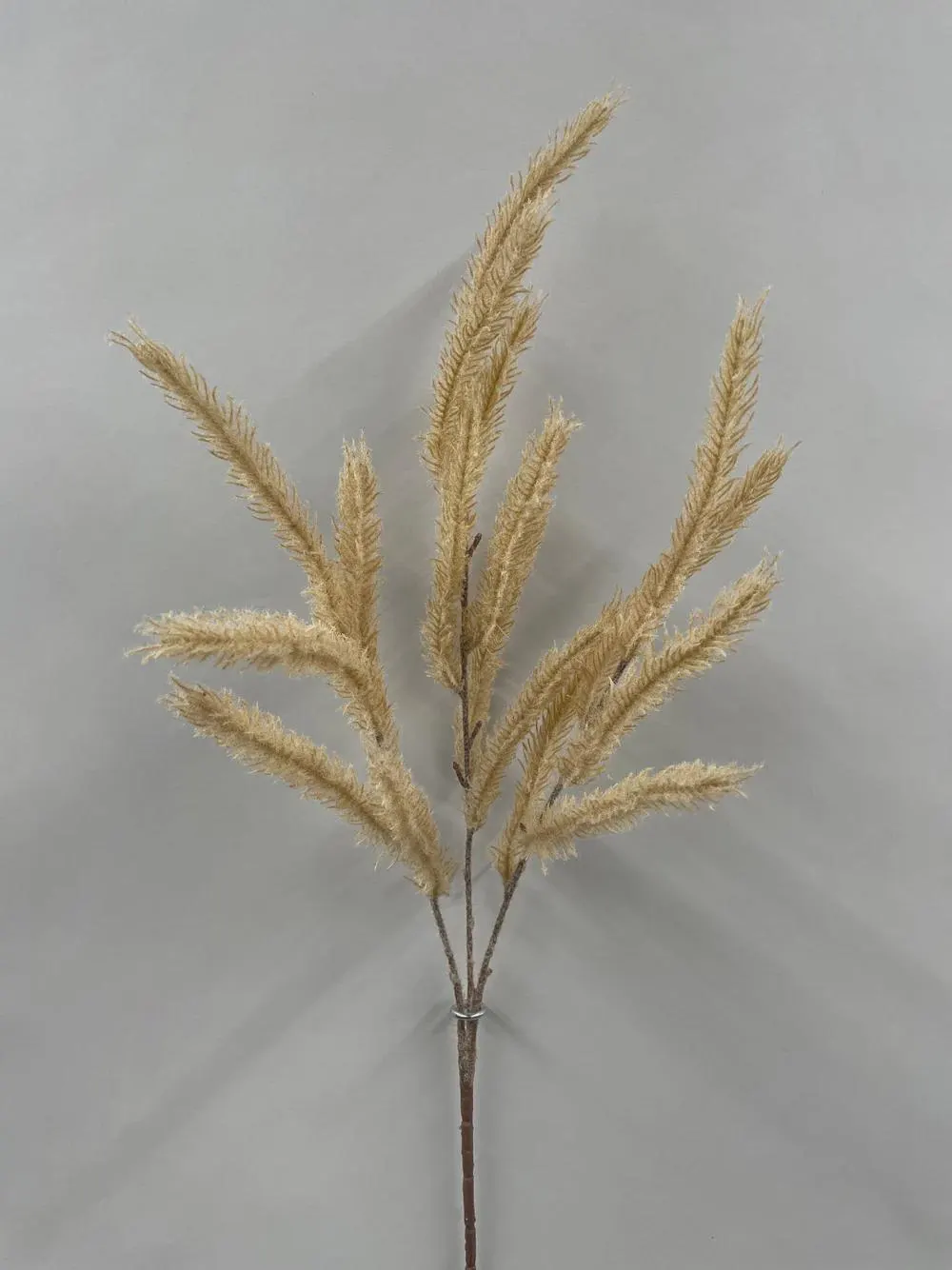 26" Cream Flocked Dogtail Spray – Faux Cream Foxtail Grass Pick, Neutral Autumn Stem for Fall Vases, Thanksgiving & Harvest Decor
