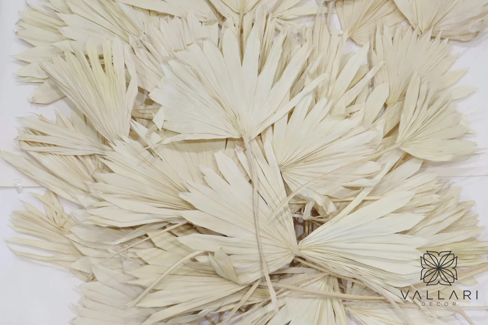 BULK 50 Pieces Bleached or Natural Palm Spears/Sun Palms/green palm/brown palm/ Home Decor/Vase DecorWedding Decor/Faux Flowers/Silk Flowers