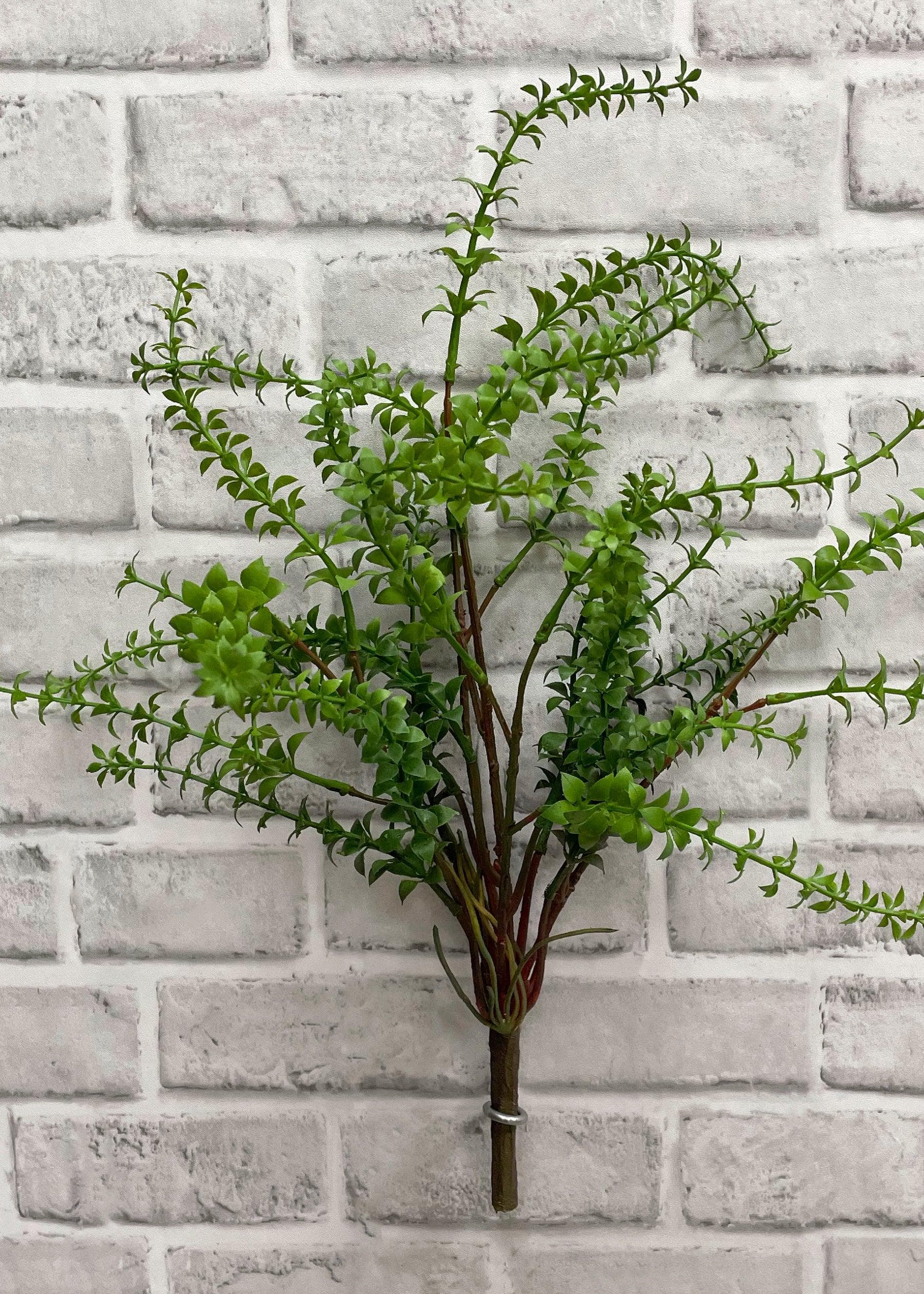 19.5" Green Stone Crop Bush | Artificial Sedum Bush | Faux Greenery Bush | Botanical Stem | Farmhouse Decor | Vase Arrangement