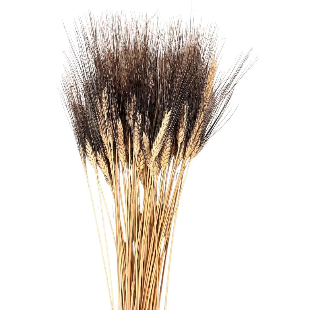 Wheat Blackbeard Branches/Curly Twigs/Branches/Centerpiece decor/ Decoration Branches/Gold Branches/Glitter Branches/Silver Branches