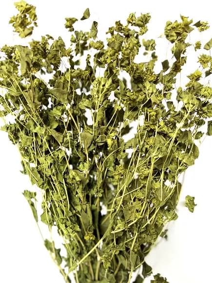 26" Natural Bupleurum/Floral Wedding/Greenery/Wedding Centerpieces/Home Decor/Faux Vines/Silk Vines/Garlands