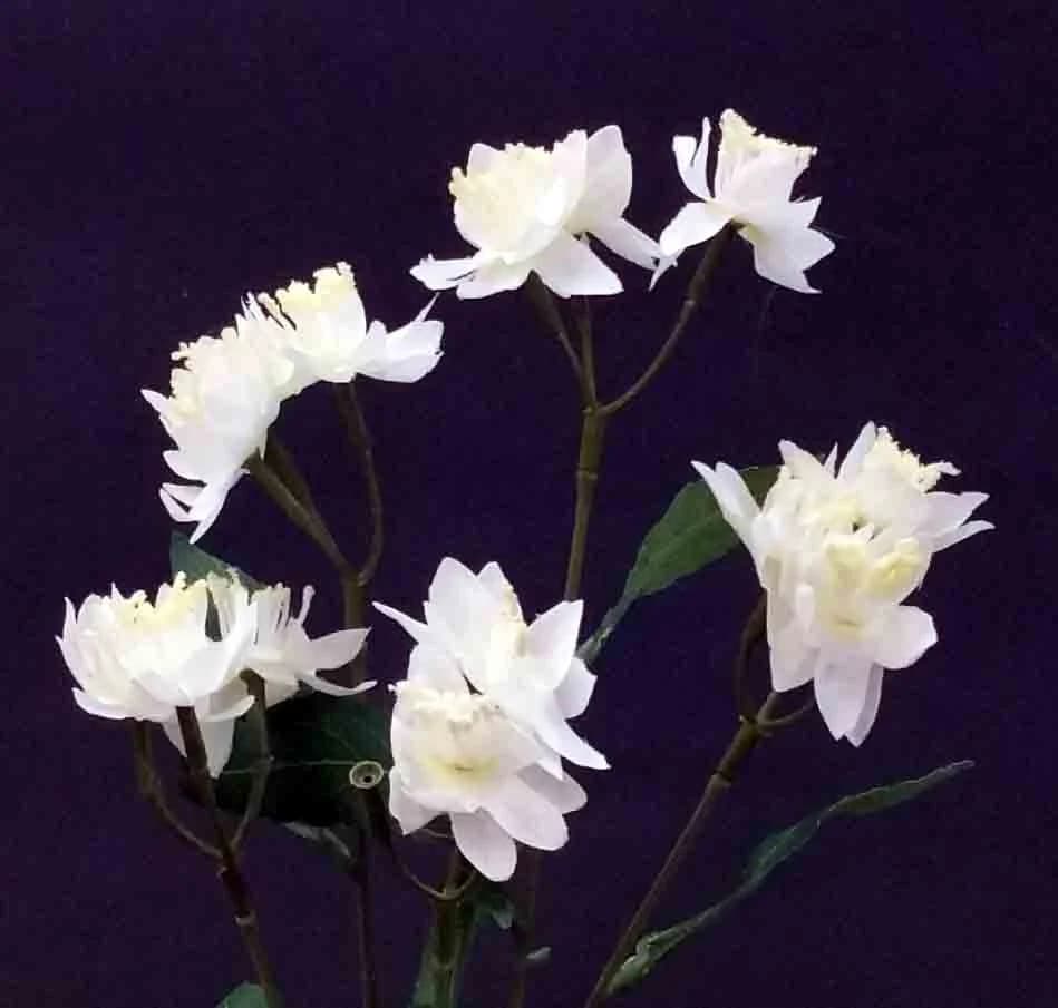 26" White Mini Snow Lotus Spray/Green/Purple/Wedding Centerpieces/Home Decor/Faux Flowers/Silk Flowers/Flower Bouquet