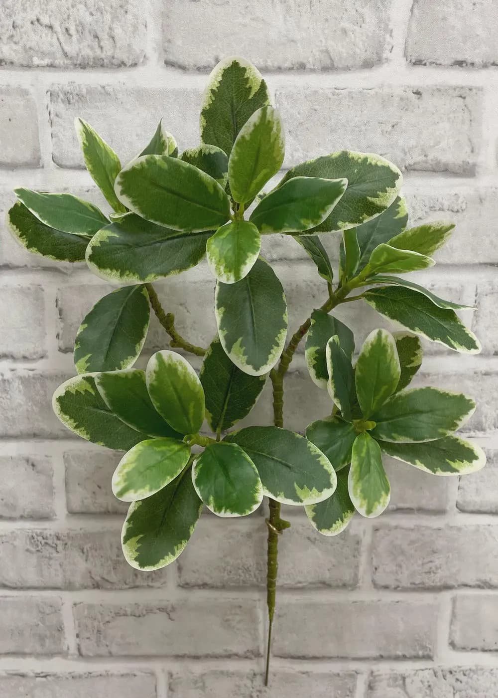 14” Karaka Spray Foliage|Glossy Green New Zealand Laurel| Faux Tropical Greenery | Silk Leaf Vase| Coastal Home Decor | Artificial Evergreen