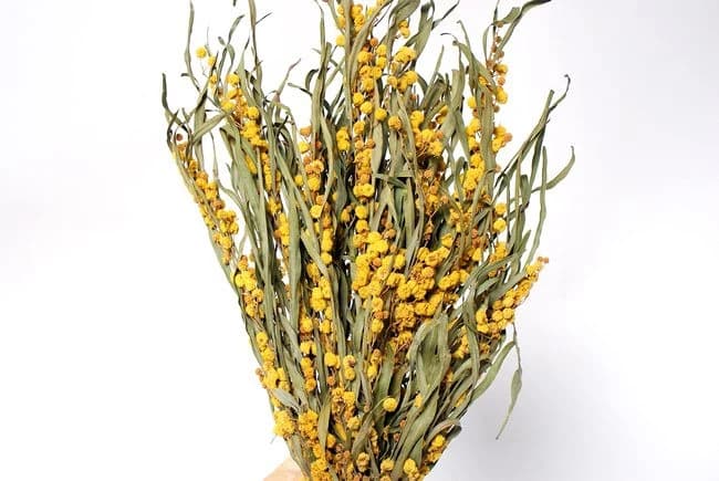 16" Yellow Mimosa Stems/Fall/Thanksgiving/Table Setting/Home Decor/Faux Decor/Faux Decoration/Fall Season/Indoor Decor/Artificial