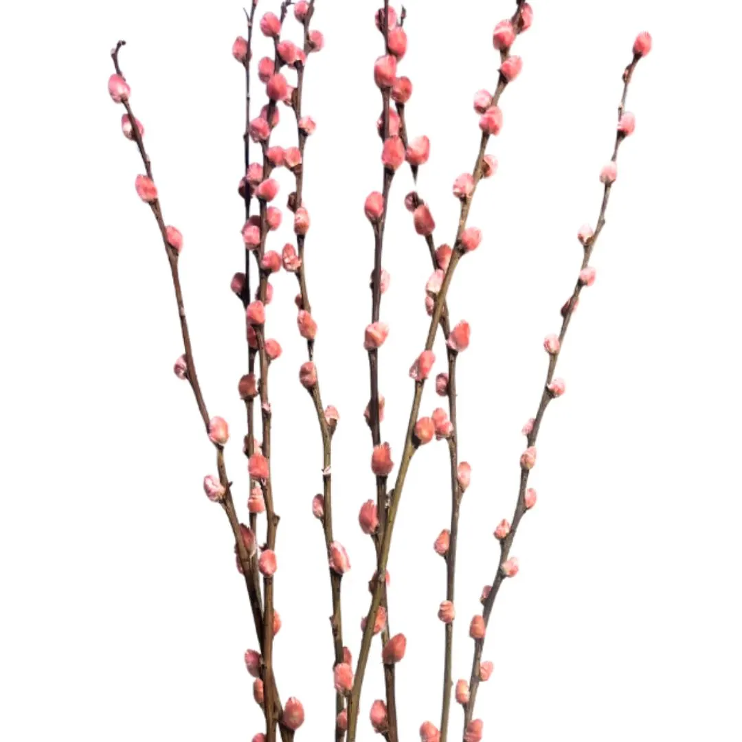 8pcs 32" Light Pink Pussy Willow/Branches/Centerpiece decor/ Winter wonderland/Decoration Branches/Gold Branches/Branches/Silver Branch