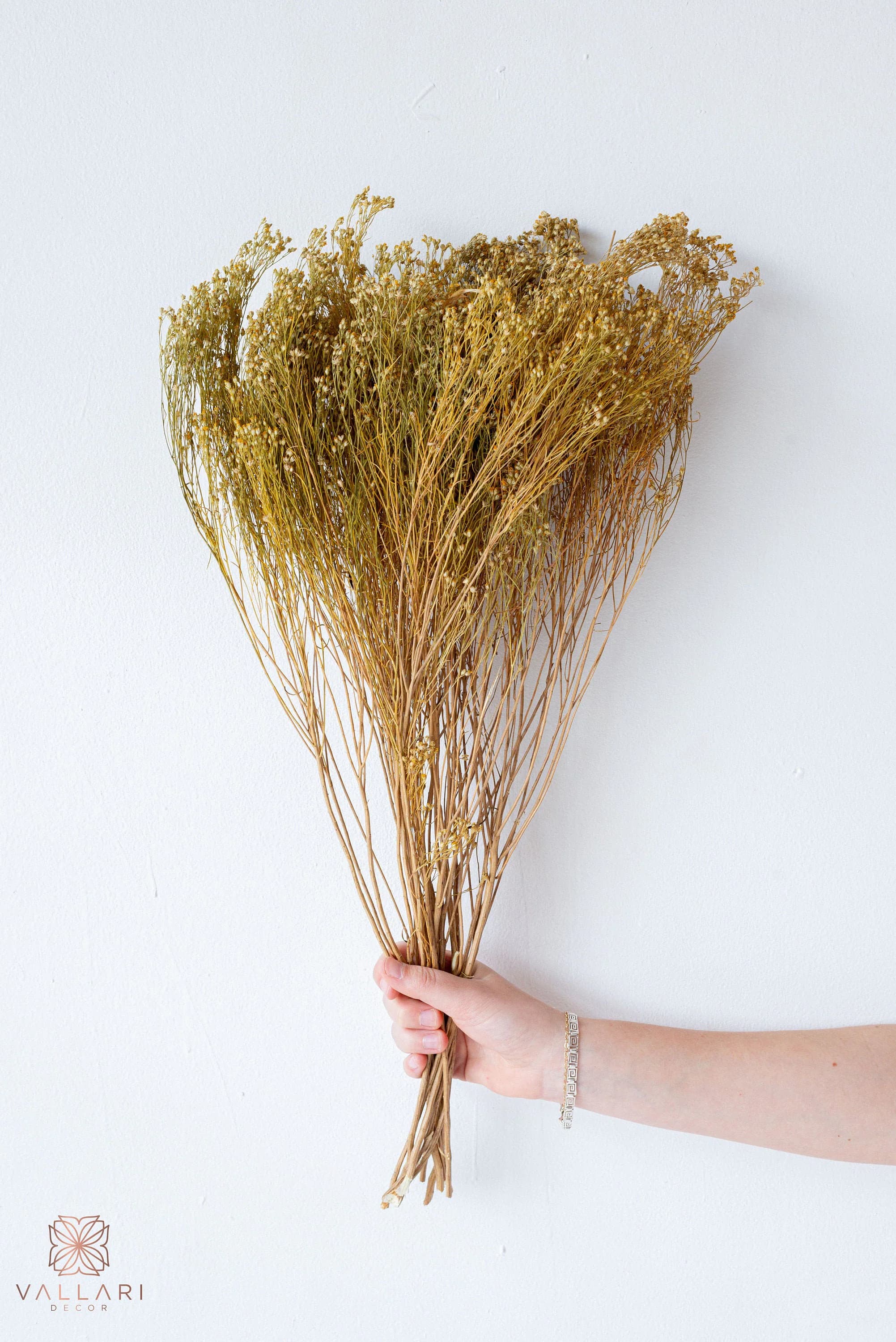 17" Dried Natural Broom Bloom/Fall/Thanksgiving/Table Setting/Home Decor/Faux Decor/Faux Decoration/Fall Season/Indoor Decor/Artificial