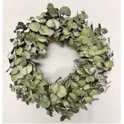 9" Preserved Eucalyptus Wreath/Green Artificial Wreath/Green Wreath/Natural Looking Wreath/Outdoor Wreath/Green Outdoor Wreath