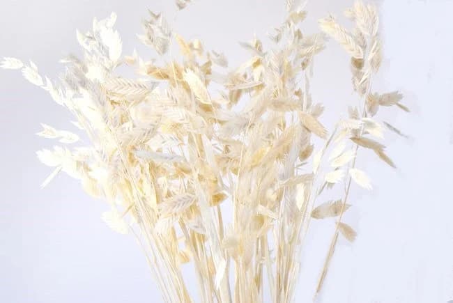26" Bleached Diamond Grass/Blue pampas Grass/Assorted Sizes/Home Decor/Wedding Decor/Dusty Blue Wedding/Mini Pampas/Wedding Decor
