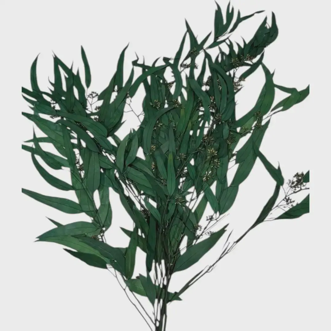 Green Eucalyptus Nicoly Sprays/Faux Spray/Holiday Decor/Fall Decor/Table Decor/Home Decor/Holiday Decor/Indoor Decor/Bleached Eucalyptus