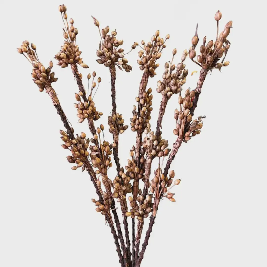 21" Rustic Moti Triple Bunch 6 Pk, Faux Autumn Flower Stems, Muted Neutral Floral Filler Spray, Farmhouse Fall Wedding Tabletop Decor