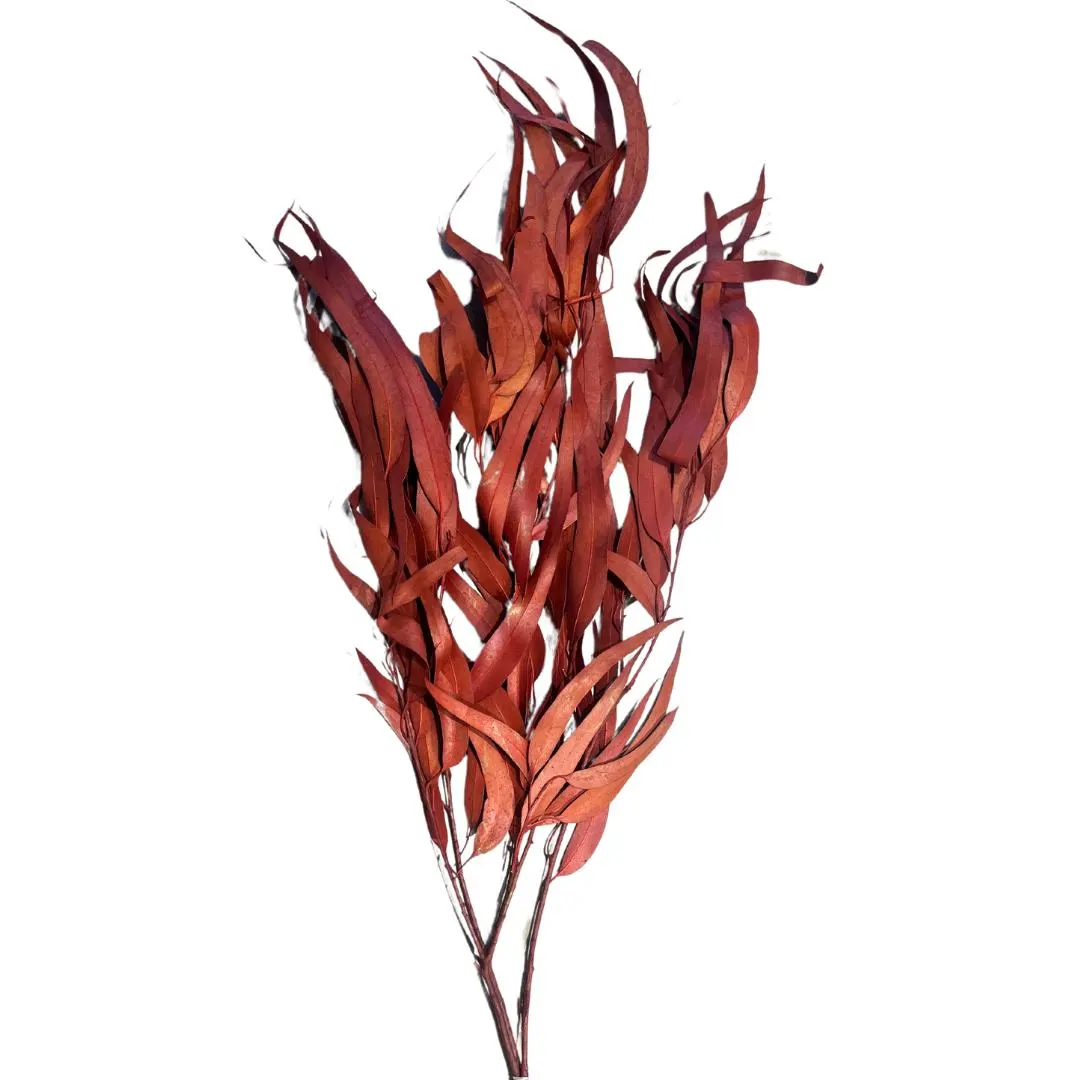 Dried Eucalyptus Willow/Sprays/Faux Spray/Holiday Decor/Fall Decor/Table Decor/Home Decor/Holiday Decor/Indoor Decor/Bleached Eucalyptus