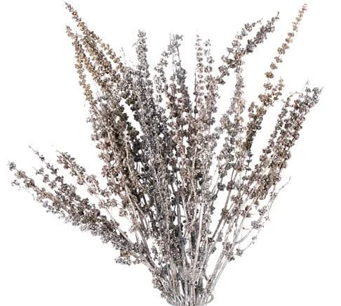28" White Wash Salvia/Fall/Thanksgiving/Table Setting/Home Decor/Dried Decor/Fall Season/Indoor Decor/Artificial