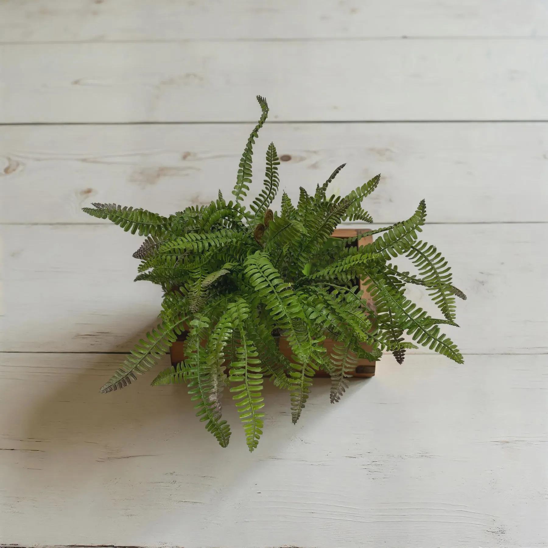 18" Fresh Touch Boston Sword Fern/Garland/Artificial Greenery/Holiday Decor/Christmas Decor/Seasonal/Long Garland/Dark Green