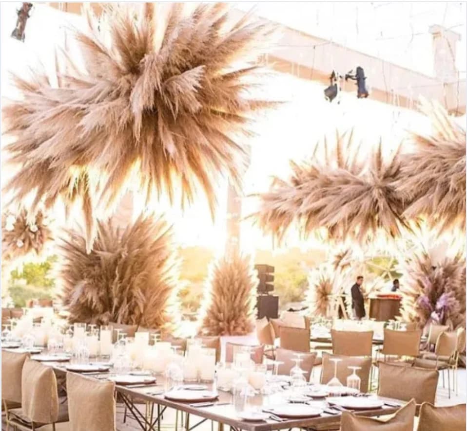 1pc - 30" Ivory, Golden  or Cream Pampas Grass/ Pampas Bundle/ Rustic Wedding Decor/ Ivory Pampas/ Natural Pampas/2.5ft Long Pampas