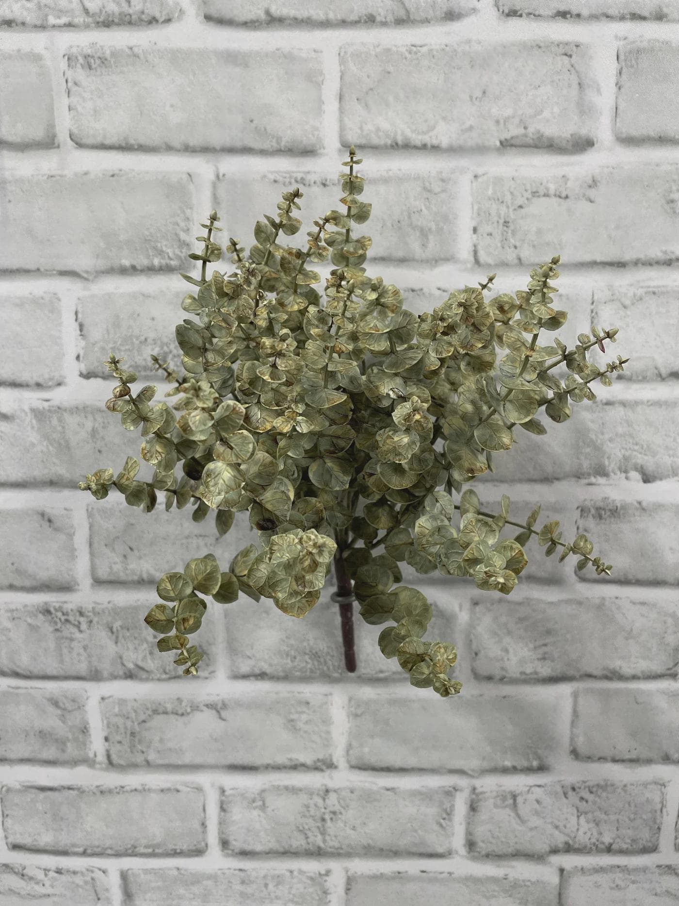 12" Cream Green Eucalyptus Bush - Artificial Two-Tone Fall Foliage,Faux Silver Dollar Eucalyptus Pick,Silk Table Centerpiece Greenery Filler