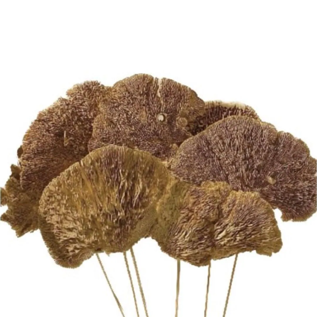 7PC Natural Sponge Mushroom/Curly Twigs/Branches/Centerpiece decor/Decoration Branches/Gold Branches/Glitter Branches/Silver Branches