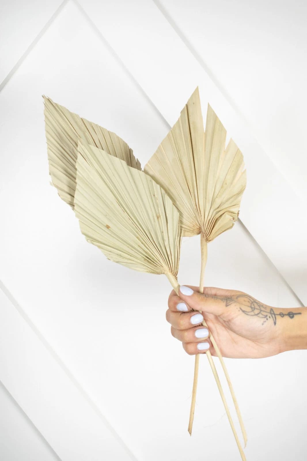 1-6pc - 15-18" Dried NATURAL PALM SPEARS/Silver/ Home Decor/Vase Decor/Centerpiec Wedding Decor/Flowers/Silk Flowers/Flower Bouquet