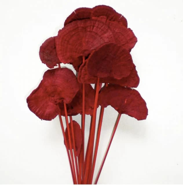 Mushroom Red On Stem /Curly Twigs/Branches/Centerpiece decor/ Decoration Branches/Gold Branches/Glitter Branches/Silver Branches