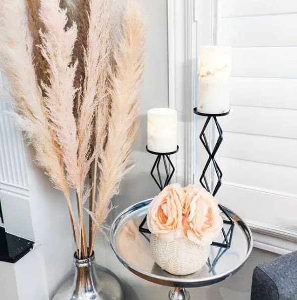MEDIUM 48" Light Pink/Blush Pampas Grass/Assorted Sizes/Home Decor/Wedding Decor/Blush Wedding/Blush Pampas/Light Pink Pampas/Natural Pampas
