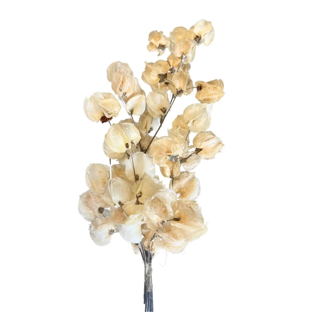 16" Bleached Bougainvillea /Floral Wedding/Greenery/Wedding Centerpieces/Home Decor/Faux Vines/Silk Vines/Garlands