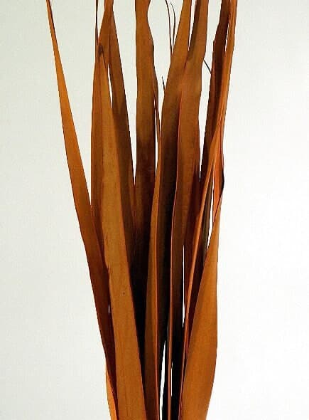 40" Orange Cacho Palms/Branches/Centerpiece decor/ Winter wonderland/Decoration Branches/Gold Branches/Home Decor