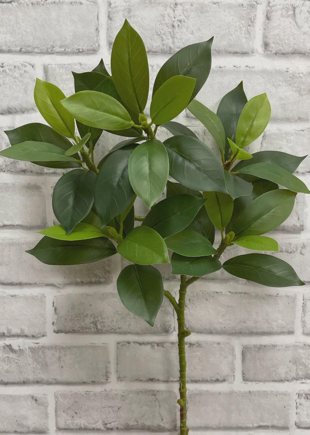 27.5” Faux Gardenia Leaf Stem | Realistic Foliage | Greenery Branch | Silk Leaf Vase | Farmhouse Foliage | High-End Gardenia Leaf Spray