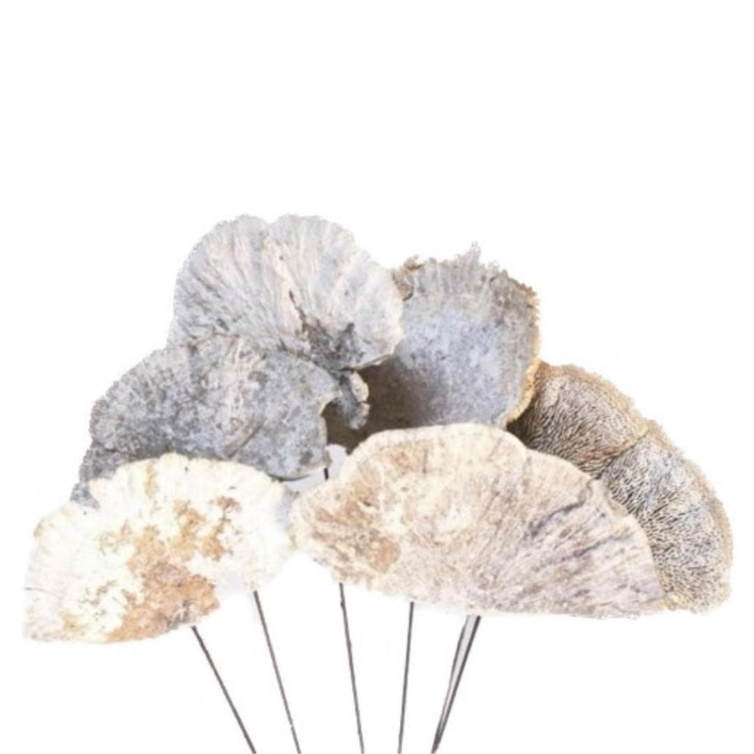7PC White Wash Sponge Mushroom/Curly Twigs/Branches/Centerpiece decor/Decoration Branches/Gold Branches/Glitter Branches/Silver Branches