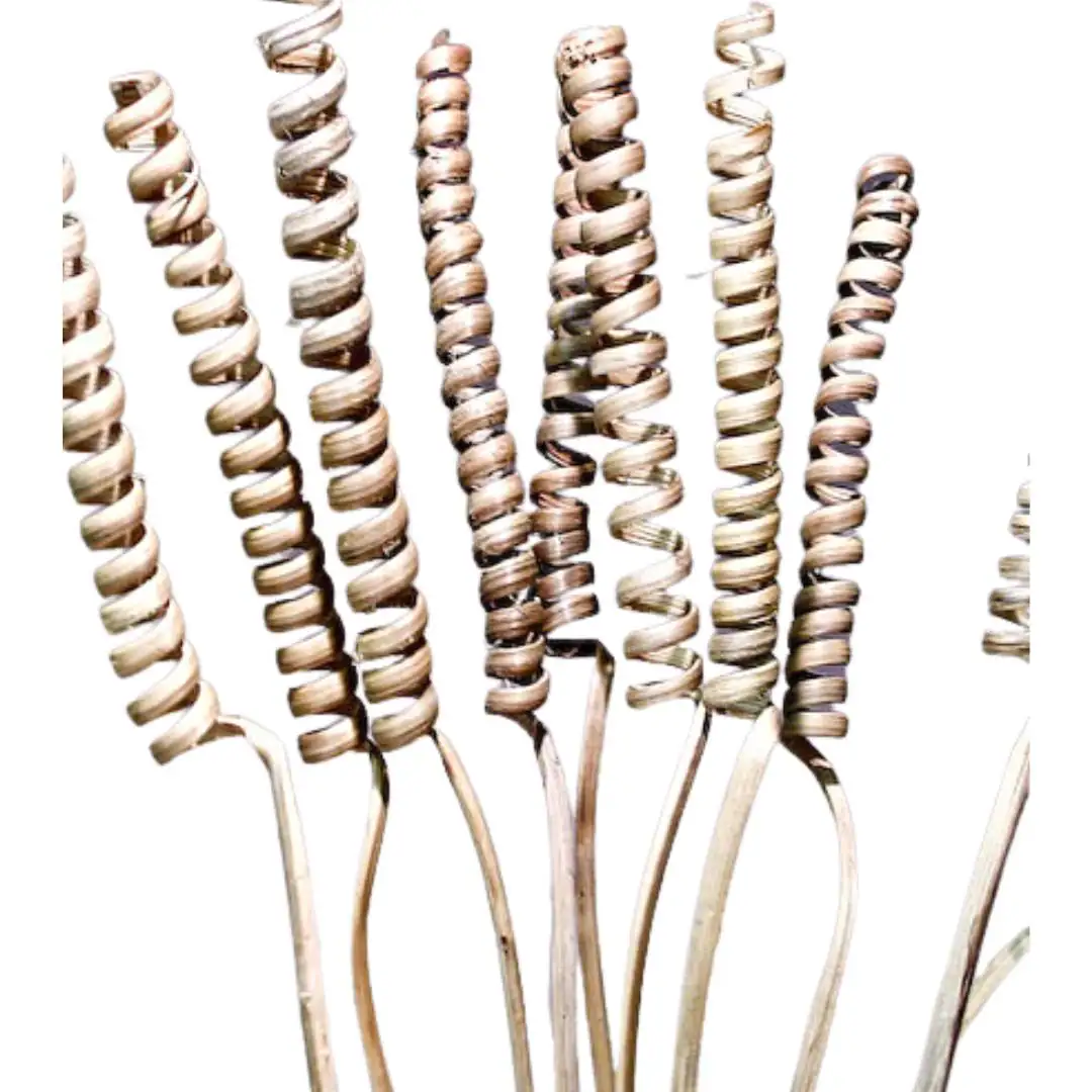 30" Natural Cane Spring/Curly Twigs/Branches/Centerpiece decor/Decoration Branches/Gold Branches/Glitter Branches/Silver Branches
