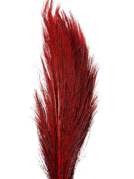 42"  Burgundy Broom Grass/Branches/Centerpiece decor/ Winter wonderland/Decoration Branches/Gold Branches/Home Decor