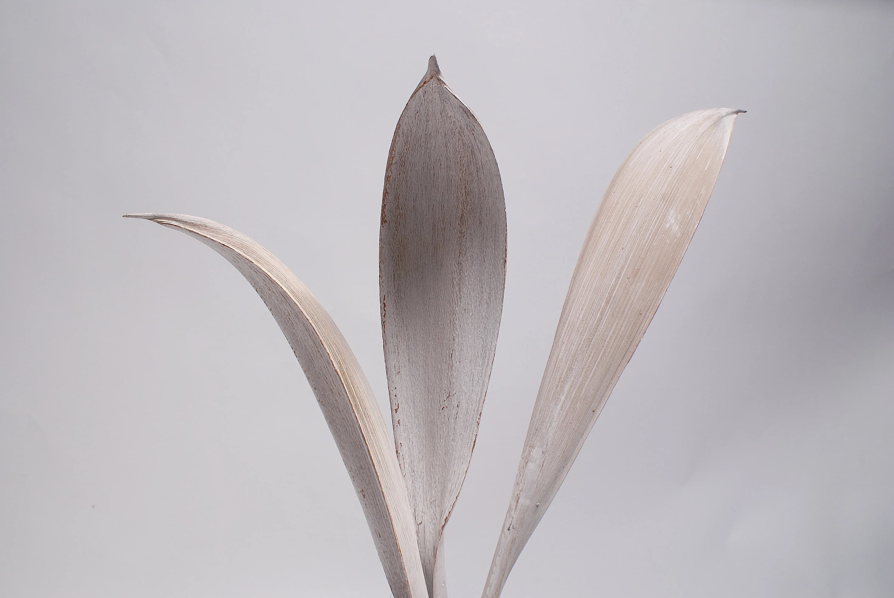 2-3 FT White Wash Coco Dish Stems/Branches/Centerpiece decor/ Winter wonderland/Decoration Branches/Gold Branches/Home Decor