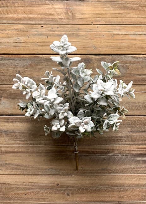 16" Snowy Green Aglaia Bush/Holiday Decor/Christmas Decorations/Poinsettia Picks/Poinsettia Flowers/Poinsettia Plant