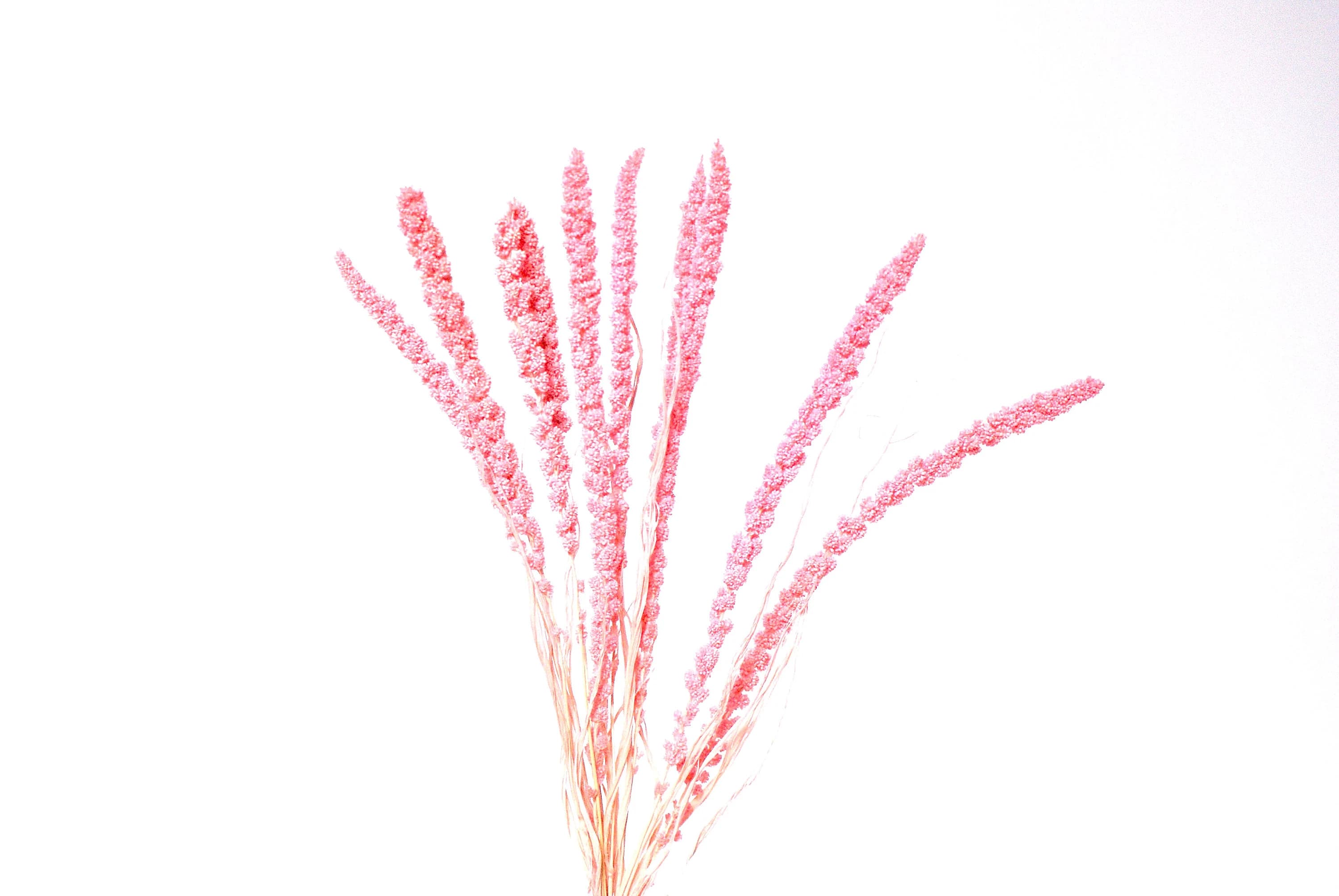 26" Light Pink Setaria/Dried Floral/Branches/Centerpiece decor/ Decoration Branches/Gold Branches/Glitter Branches/Silver Branches