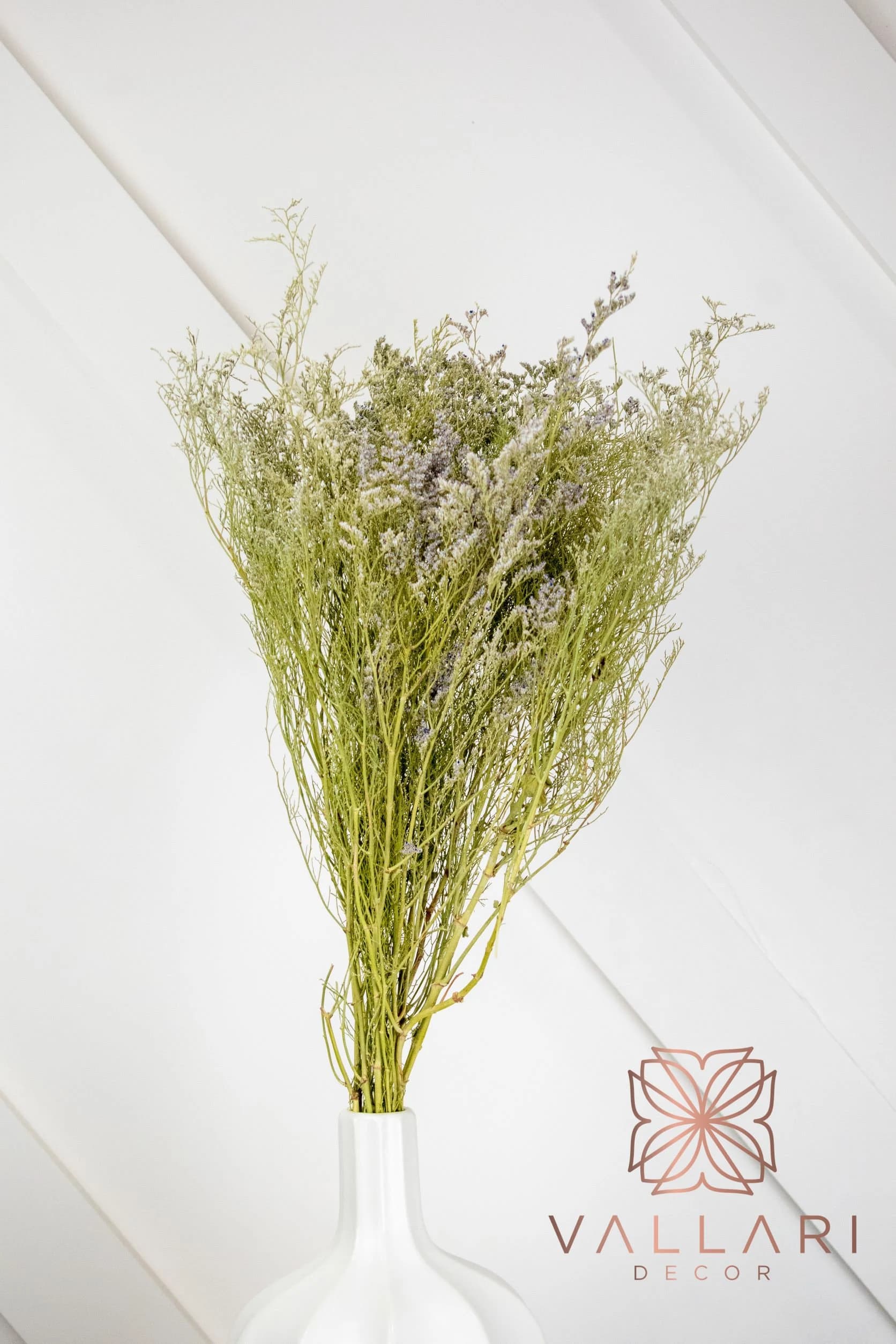 Natural Preserved Caspia/Baby Breaths/Fall/Thanksgiving/Table Setting/Home Decor/Faux Decor/Decoration/Fall Season/Indoor Decor