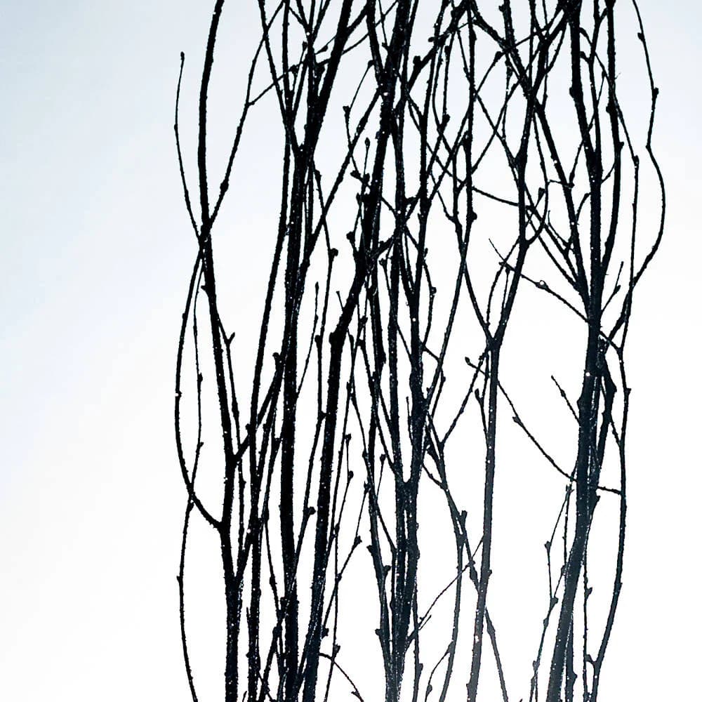 Black Sparkly /Curly Twigs/Branches/Centerpiece decor/ Winter wonderland/Decoration Branches/Gold Branches/Glitter Branches/Silver Branches