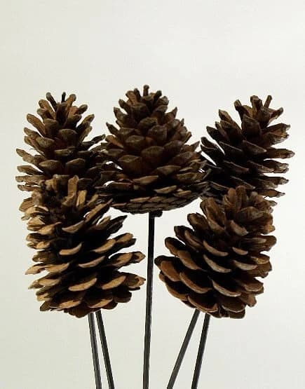3"-4" Natural Pine Cones On Stems/Cones/Pine Cones On Sticks/Rustic Decor Idea/Rustic Bowl Filler/Wicker Decoration/Rustic Table Decor