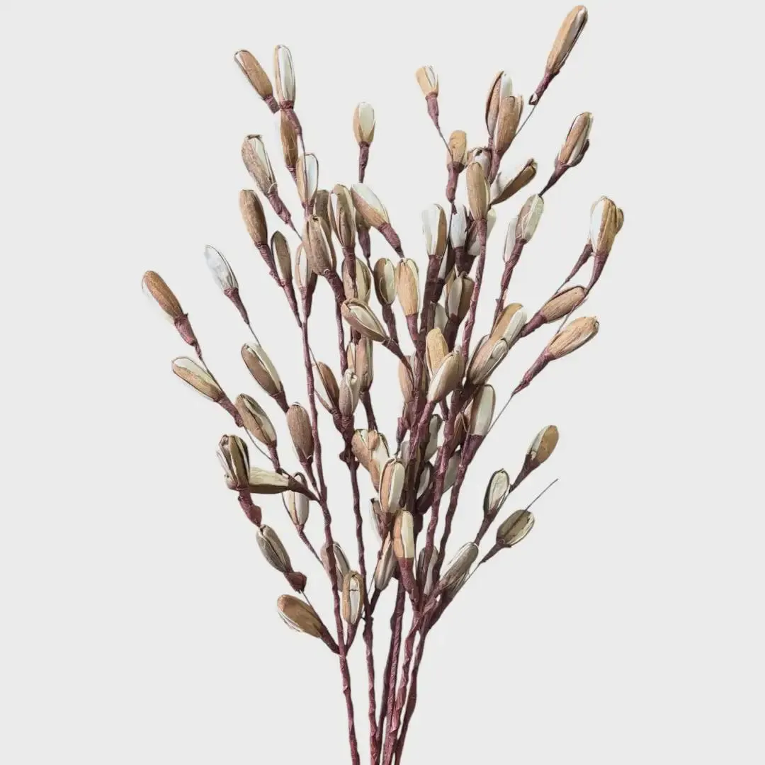 28" Natural Sola Wood Stripe Branche, Pack of 6 Stems, Eco-Friendly Dried Floral Accent, Boho Home Decor, Tall Vase Filler, DIY Craft Supply