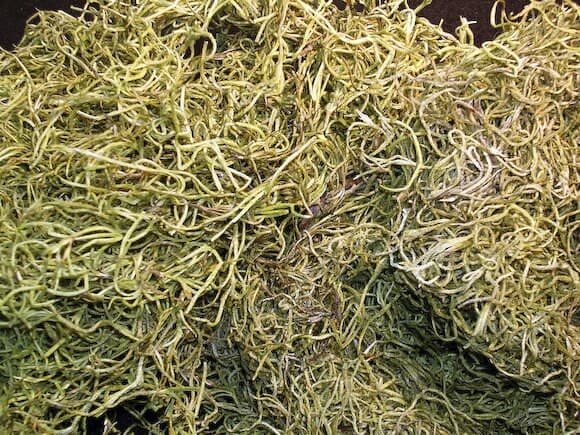 Spanish Moss/Decorative Moss/Greenery/Decor Ideas/Green Bawl Filler/Moss Decoration/Green Table Decor/Home Decor