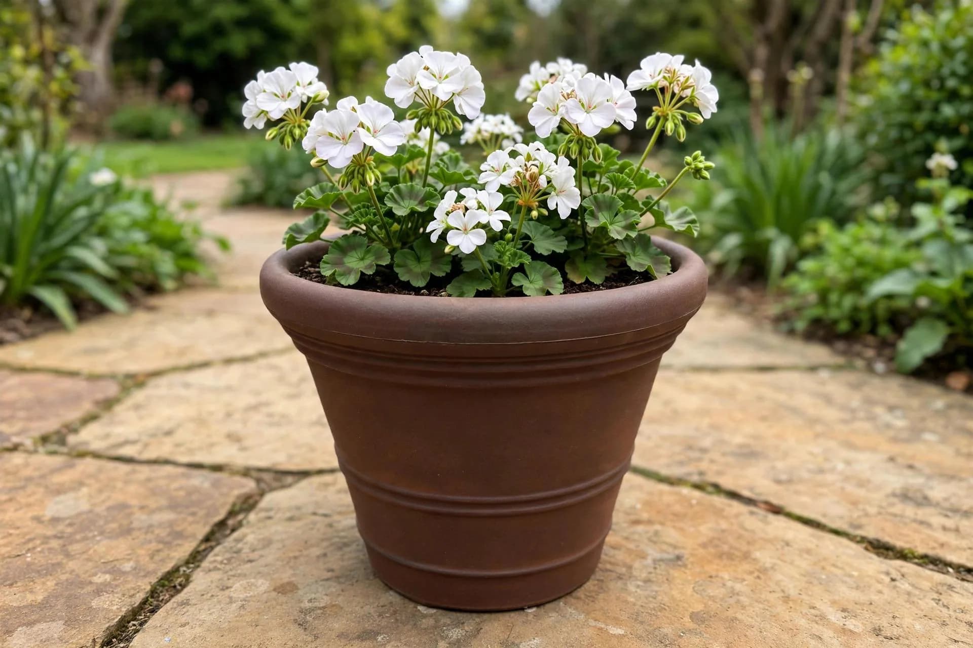 Eco Plastic Ancona Pot Rust 18x13.7 Inch | Classic Flowerpot Rolled Rim | Garden Pot