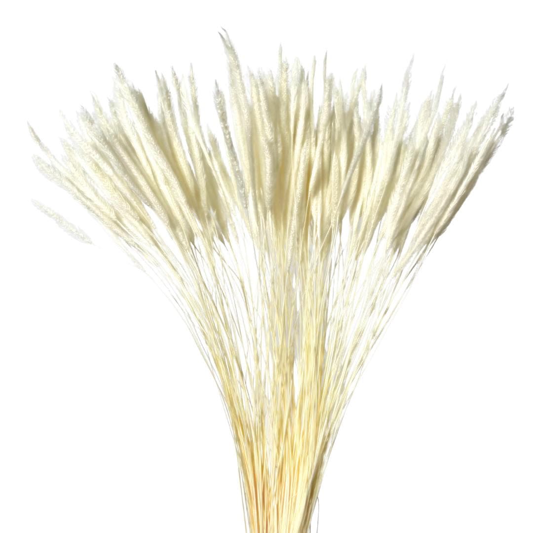 Bleached Silk Grass/Blue pampas Grass/Assorted Sizes/Home Decor/Wedding Decor/Dusty Blue Wedding/Mini Pampas/Wedding Decor