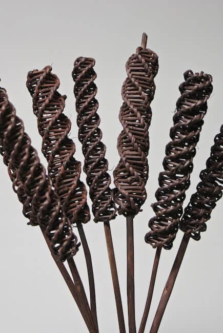 24" Brown Lata Roller On Stems/Cones/Pine Cones On Sticks/Rustic Decor Idea/Rustic Bowl Filler/Rustic Table Decor/Fall Decor/Spring Decor
