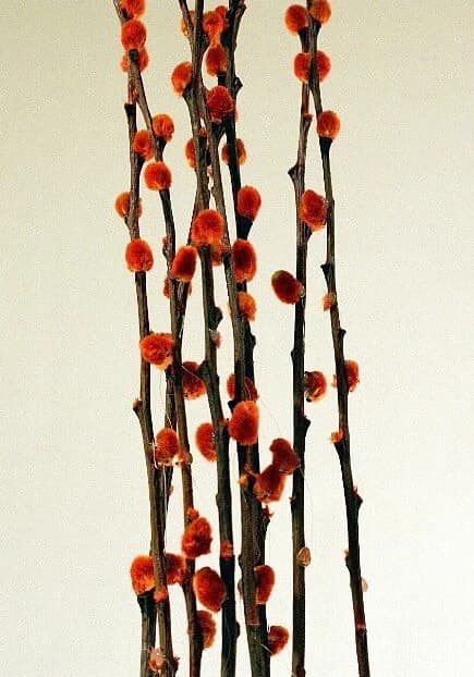 8pcs 32" Orange Pussy Willow/Branches/Centerpiece decor/ Winter wonderland/Decoration Branches/Gold Branches/Glitter Branches/Silver Branch