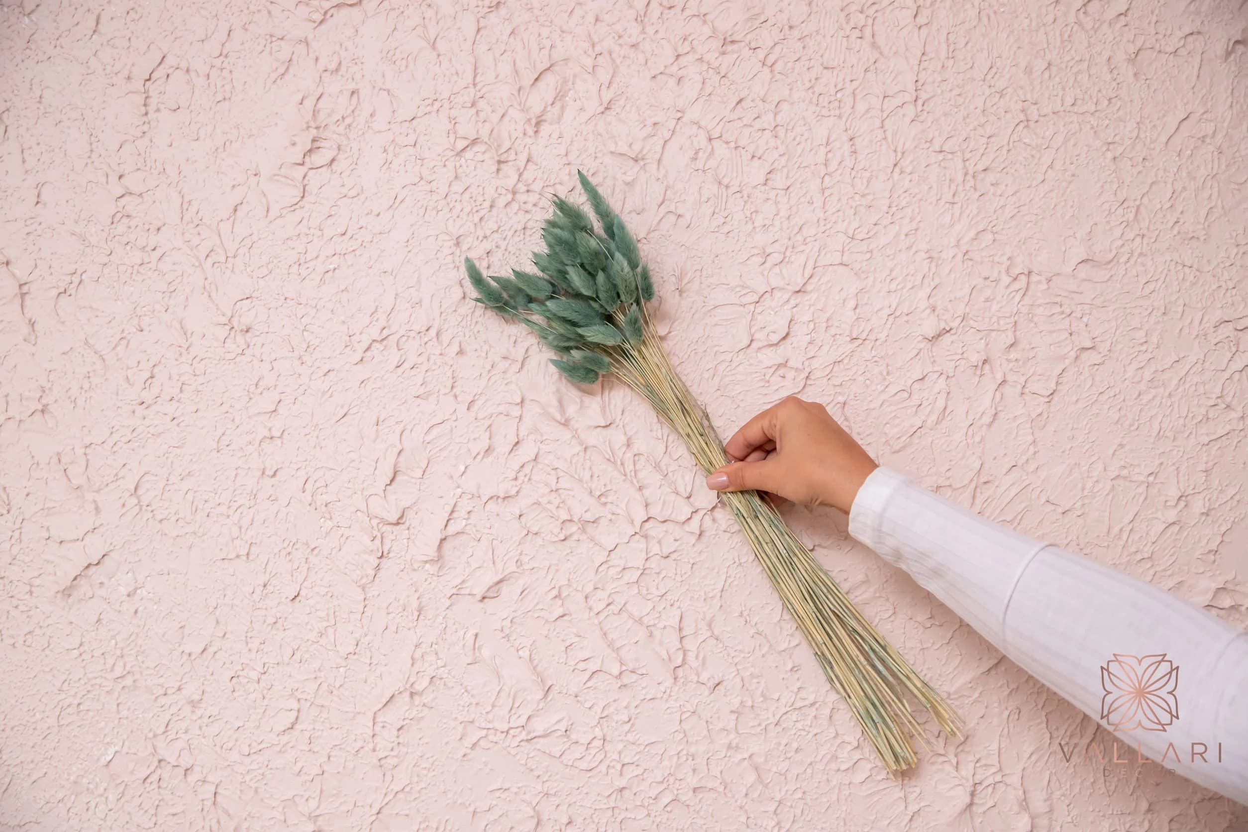 50 Piece Pacific Blue Bunny Tails/ Pampas Bundle/Home Decor/Rustic Wedding Decor/Dried Bunny Tail/Ivory Pampas/Natural Pampas/Largus